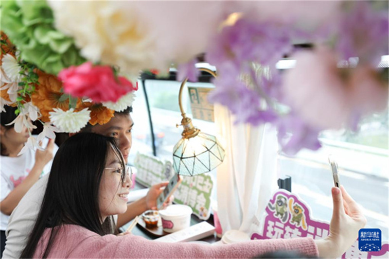 Charmanter Kulturbus für CICPE