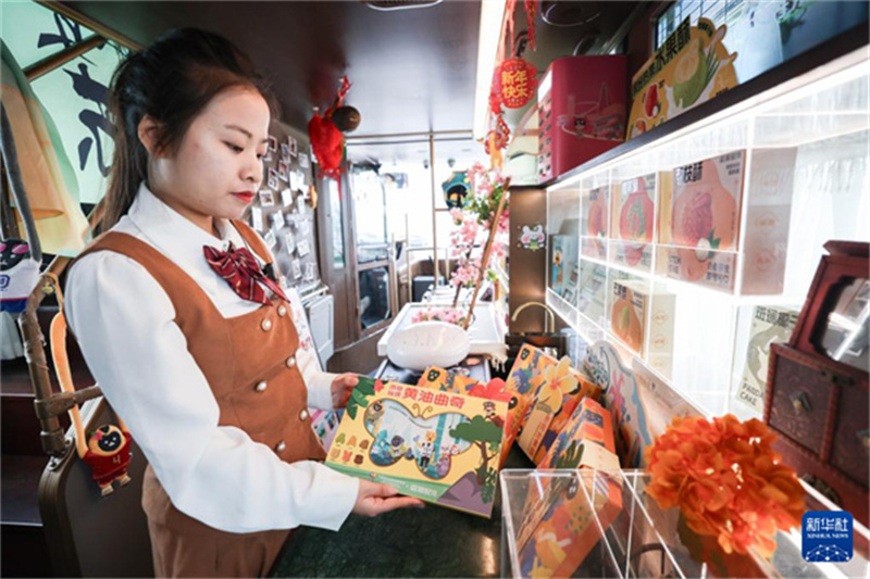 Charmanter Kulturbus für CICPE