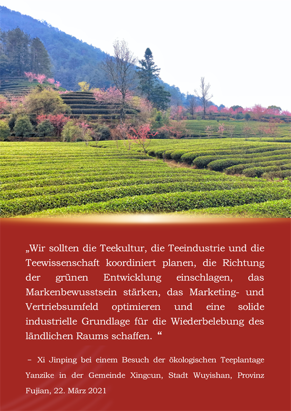 Die Geschichte von Xi Jinping und dem Fujian-Tee