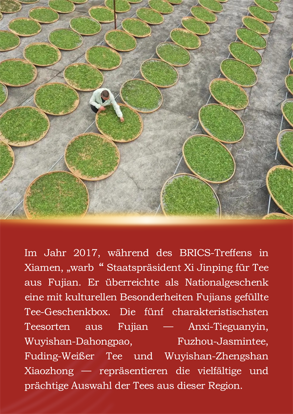 Die Geschichte von Xi Jinping und dem Fujian-Tee