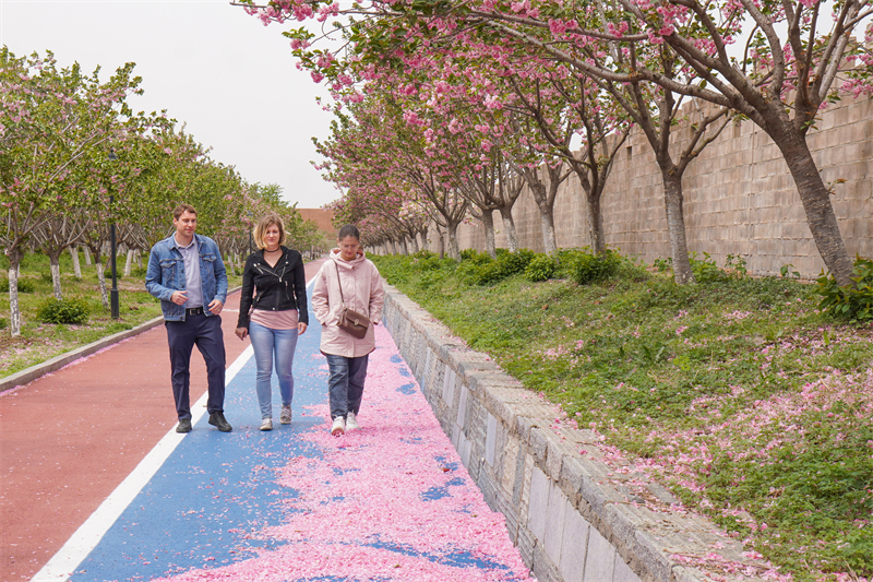 Anhui verzeichnet Boom im Inbound-Tourismus