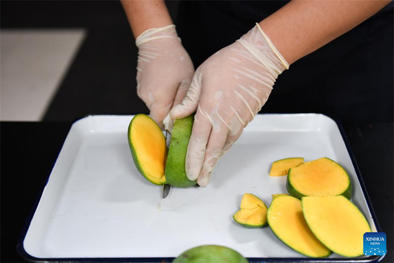 Erste Mango-Lieferung aus Bangladesch erreicht China