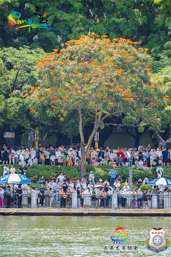 Sanya: Wei?e Reiher über blauem Wasser und Drachenboote im Wettstreit