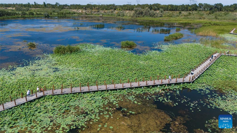 Feuchtgebiete im chinesischen Xinjiang dienen als wichtige ?kologische Rückzugsorte