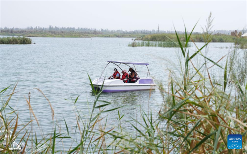 Feuchtgebiete im chinesischen Xinjiang dienen als wichtige ?kologische Rückzugsorte