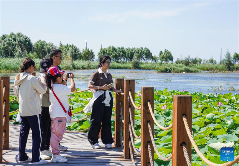 Feuchtgebiete im chinesischen Xinjiang dienen als wichtige ?kologische Rückzugsorte