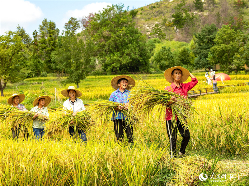 Erntezeit – was für eine Freude!
