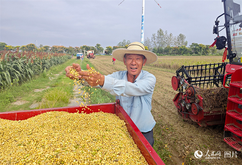 Erntezeit – was für eine Freude!
