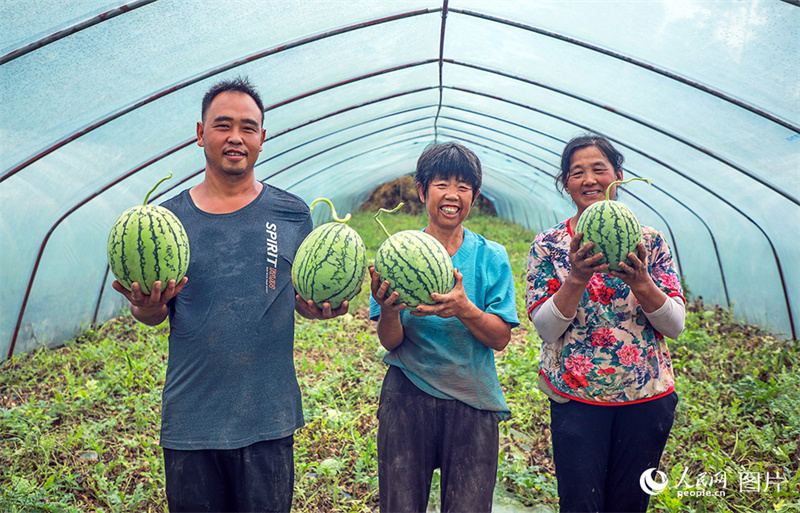 Erntezeit – was für eine Freude!