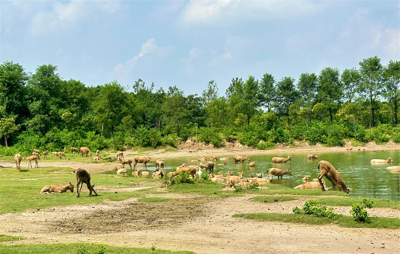 World Coastal Forum 2025 in Yancheng er?ffnet