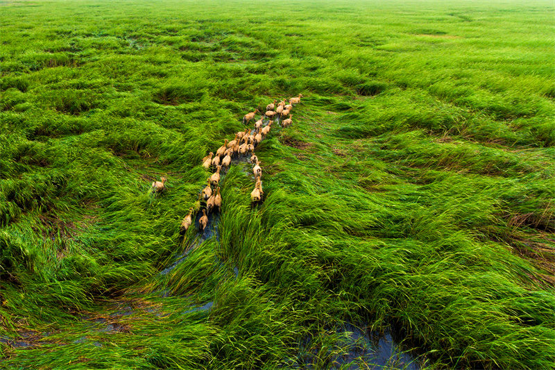 World Coastal Forum 2025 in Yancheng er?ffnet