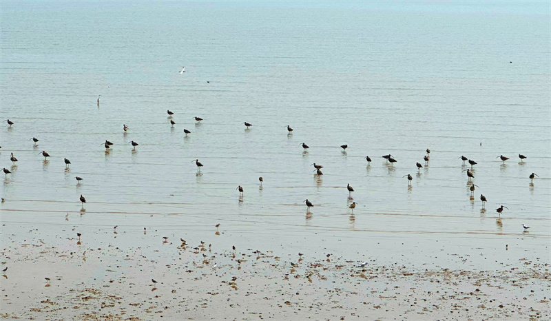 World Coastal Forum 2025 in Yancheng er?ffnet