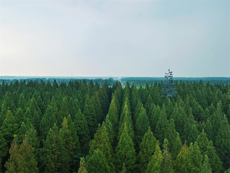 World Coastal Forum 2025 in Yancheng er?ffnet