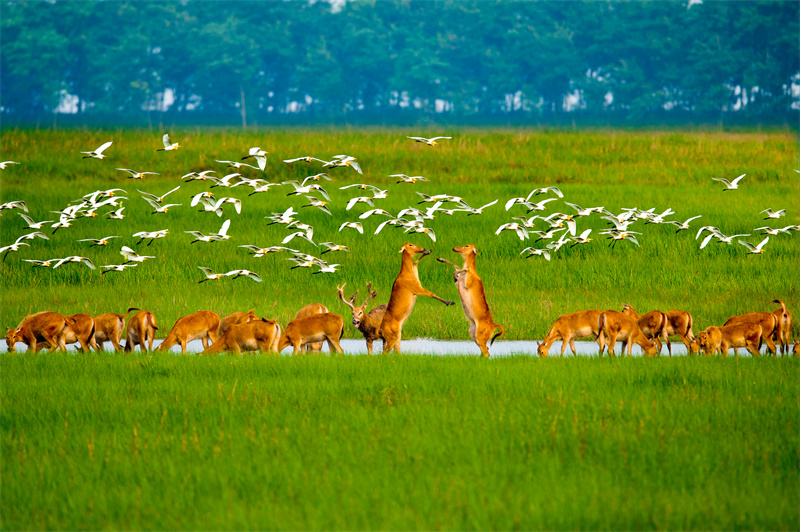 World Coastal Forum 2025 in Yancheng er?ffnet