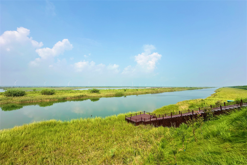 World Coastal Forum 2025 in Yancheng er?ffnet