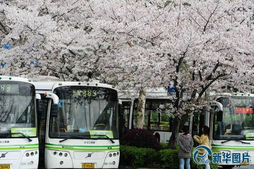 Die sch?nste Bushaltestelle in Shanghai